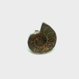 Bague avec ammonite naturelle bijou fossile spirituel Ankh Mineral